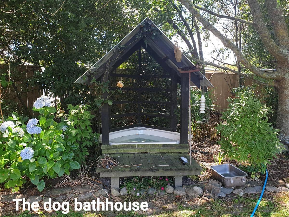 Cabins On Tudor Bed & Breakfast 摩图伊卡 外观 照片