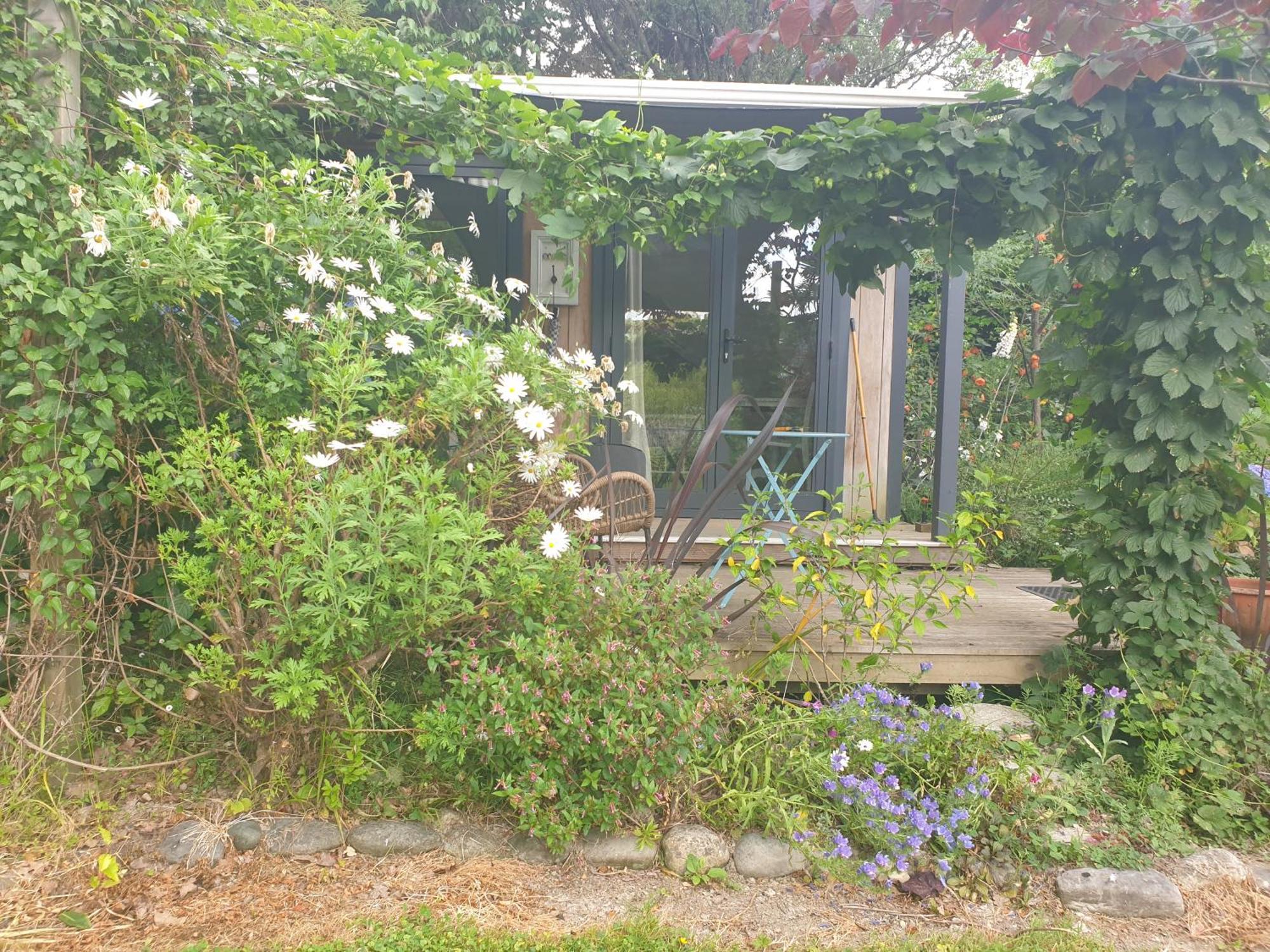 Cabins On Tudor Bed & Breakfast 摩图伊卡 外观 照片